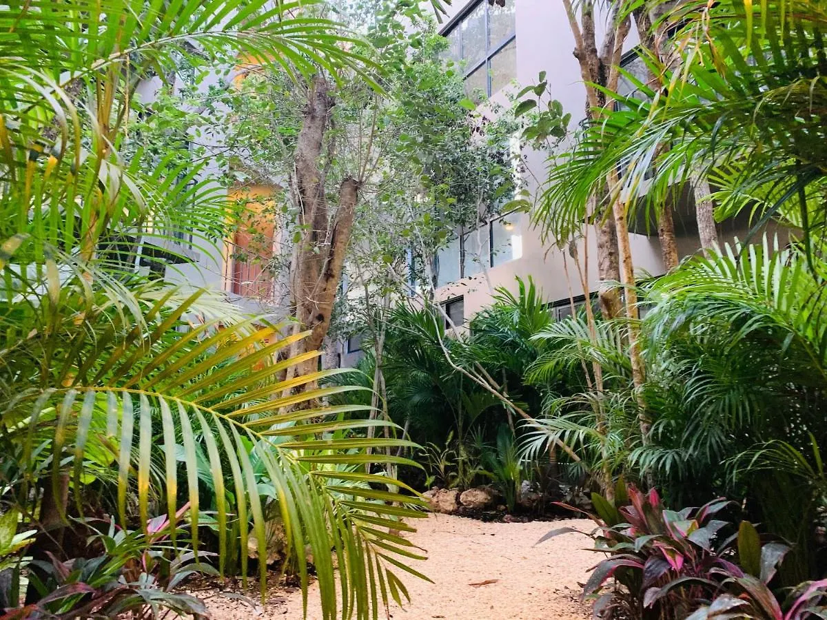 Vida Boho Apart 6 With Special Fee To Access Hotel Bardo Tulum Pueblo