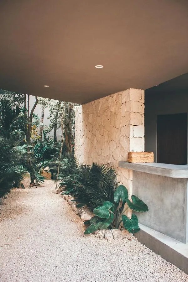 Apartment Vida Boho Apart 6 With Special Fee To Access Hotel Bardo Tulum Mexico